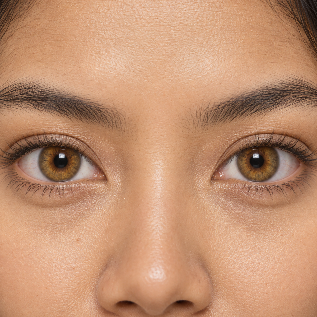 Amber Maple Short Stroke colored contacts - proven honey-brown demand shifted into a sourceable amber three-tone lens without novelty graphics