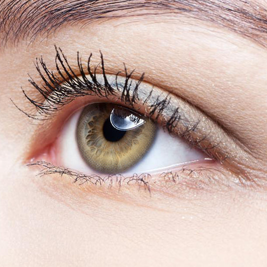 Half Moon High Glossy Brown | Moxielens Earth Glow Colored Contacts -- Earth Glow colored contacts | Moxielens