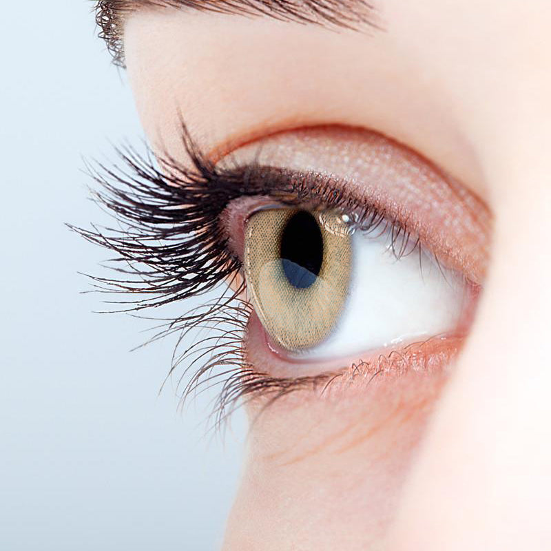 Butterfly Brown | Moxielens Earth Glow Colored Contacts ??Earth Glow colored contacts | Moxielens