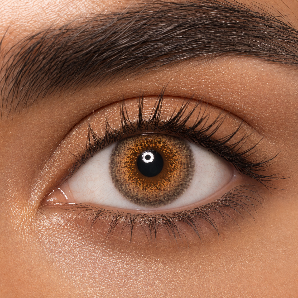 Toffee Mosaic Halo Brown colored contacts - clinical clarity and an unmistakable iris-pattern close-up