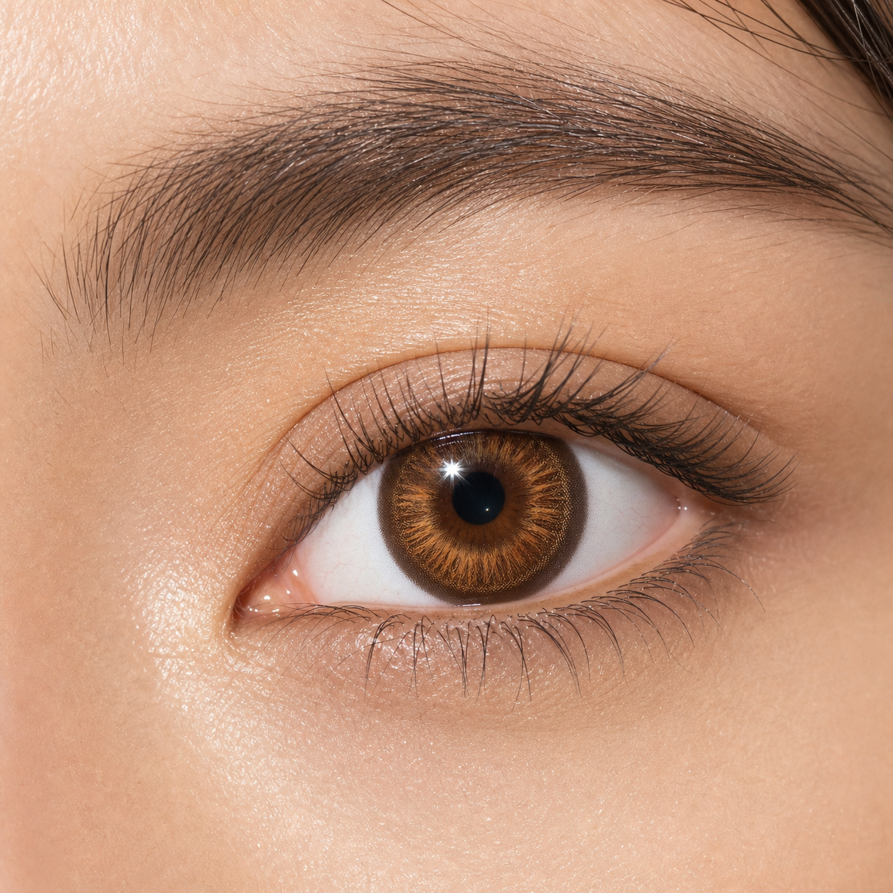 Chestnut Amber Ripple Brown colored contacts - real-life daylight payoff with visible lens depth