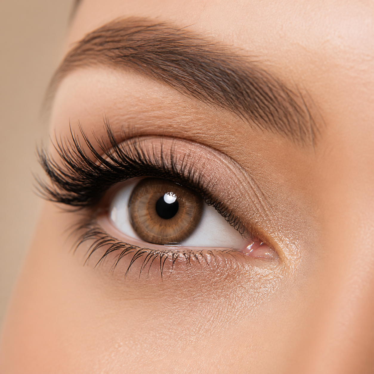 Big Eye Barbie Brown colored contacts - a warm mocha-and-honey brown enlargement effect for polished everyday glam and camera-ready beauty