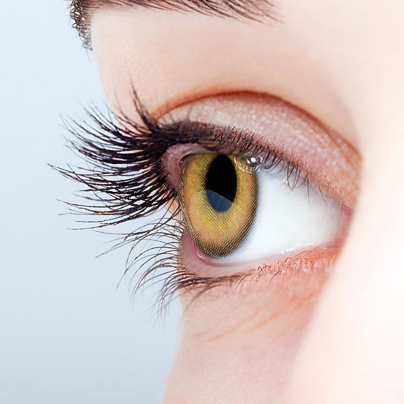 Oban Brown colored contact lenses