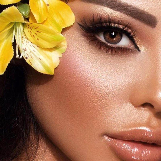 Highlight Circle Brown (12 Month) colored contact lenses