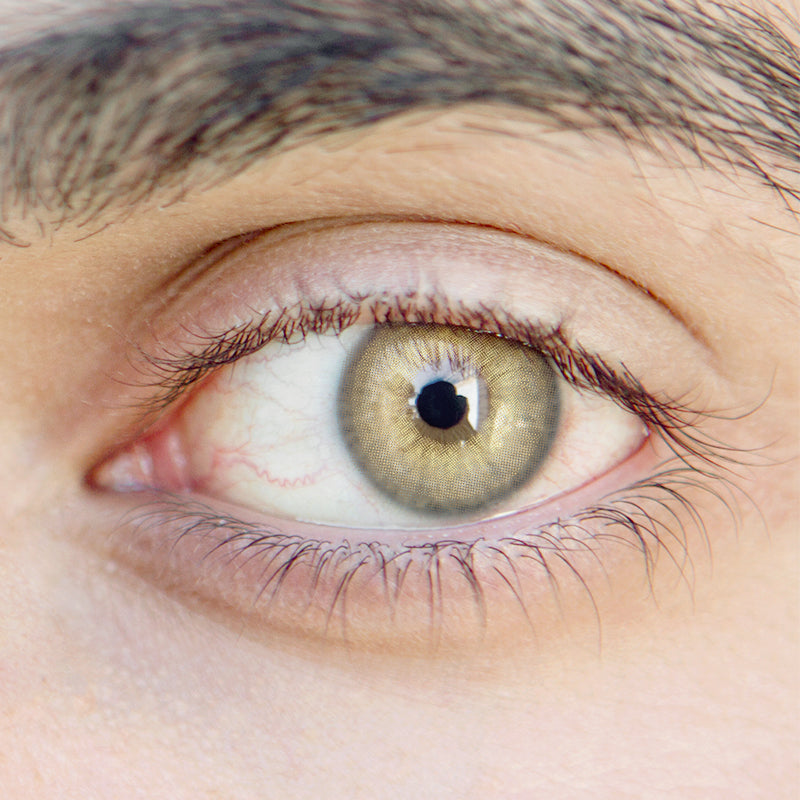 Men'sida Brown | Moxielens Earth Glow Colored Contacts
