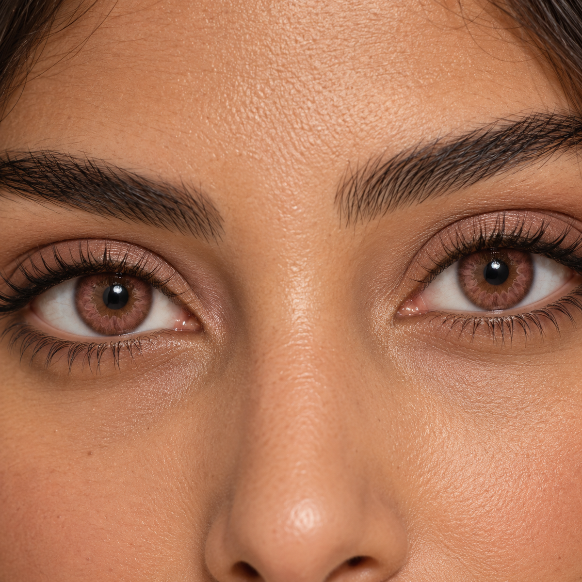 Rosewood Cocoa Petal Fade colored contacts - proven color-change demand translated into a sourceable rosewood-cocoa three-tone lens without a repeated ring construction