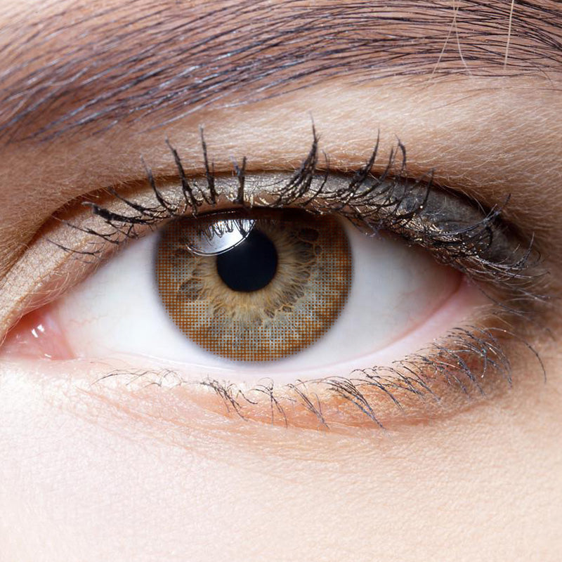 Louis Brown | Moxielens Earth Glow Colored Contacts