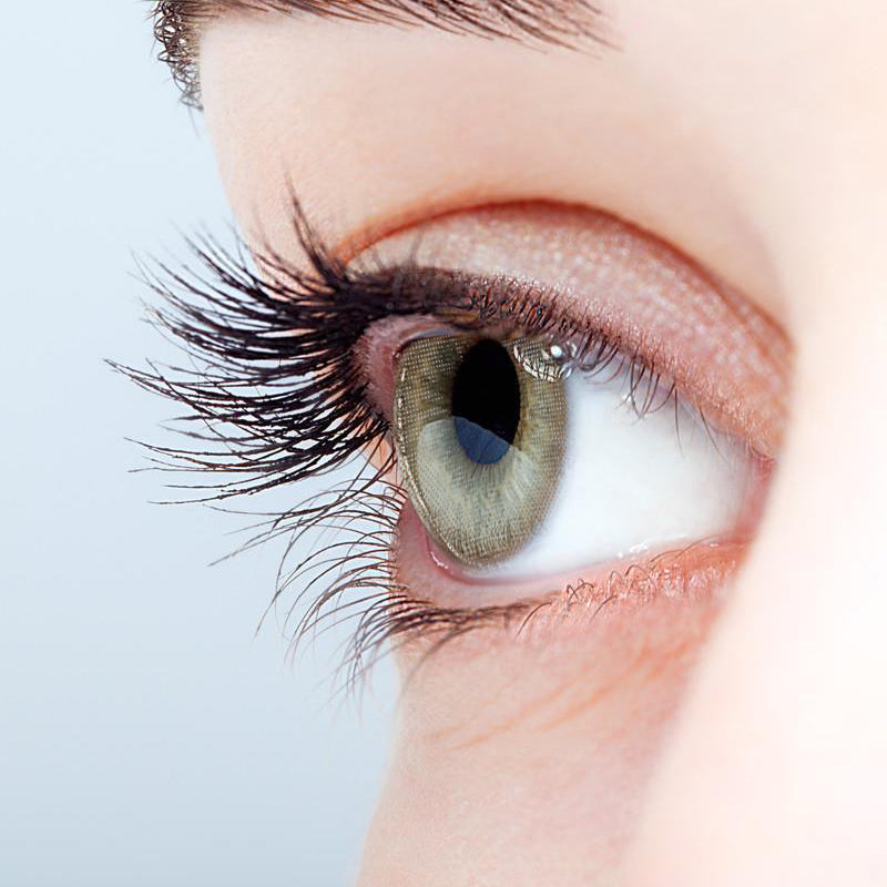 Someday Gray | Moxielens Moonlight Colored Contacts -- Moonlight colored contacts | Moxielens