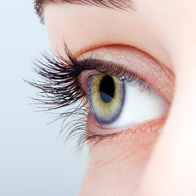 Violet Flower Purple colored contact lenses