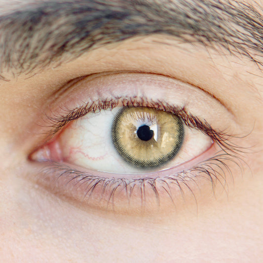 Men' LI Fog Brown | Moxielens Earth Glow Colored Contacts -- Earth Glow colored contacts | Moxielens