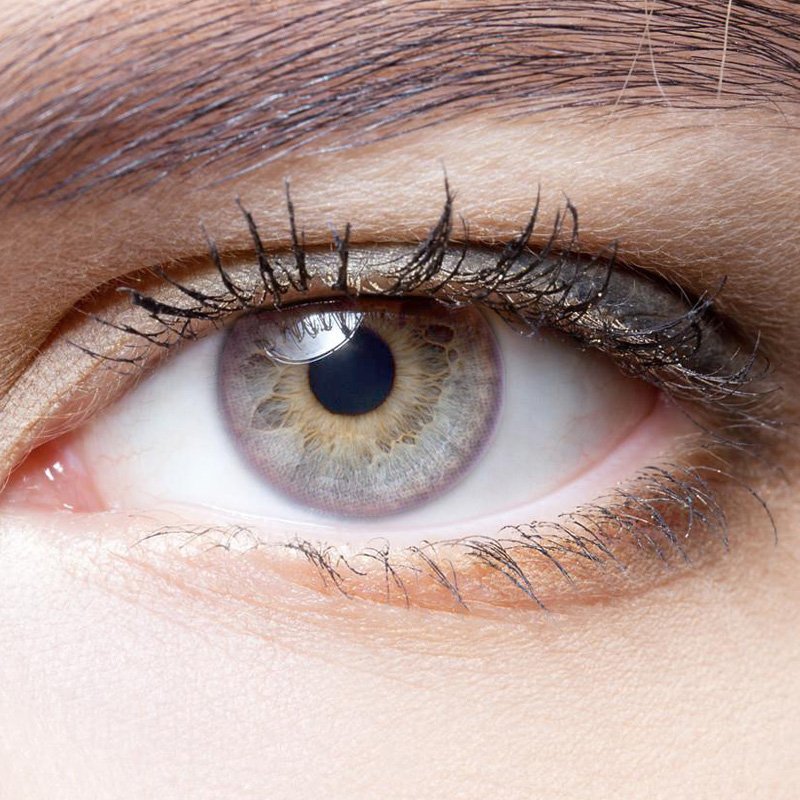 Fairy Tale Golden Basket Color Purple colored contact lenses