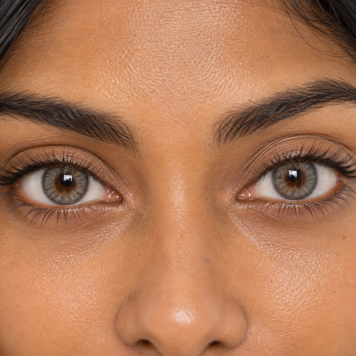 Dove Mushroom Silk Gradient colored contacts - a proven gray family translated into an easy-to-source neutral three-tone gradient