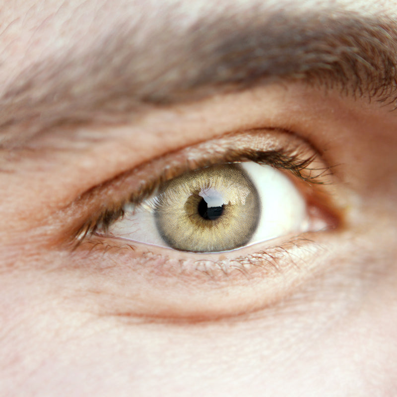 Men'sida Brown | Moxielens Earth Glow Colored Contacts