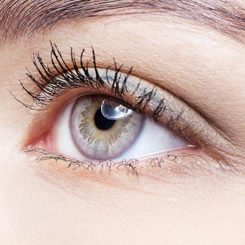 Fairy Tale Golden Basket Color Purple colored contact lenses