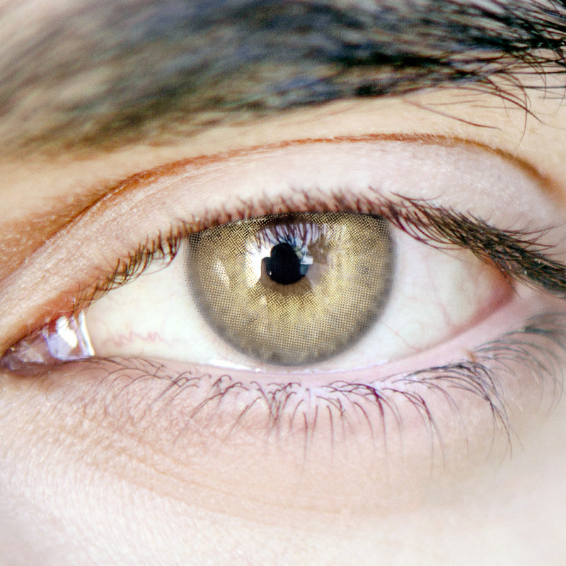 Men'sida Brown | Moxielens Earth Glow Colored Contacts