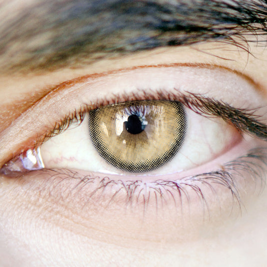 Men' LI Fog Brown | Moxielens Earth Glow Colored Contacts -- Earth Glow colored contacts | Moxielens